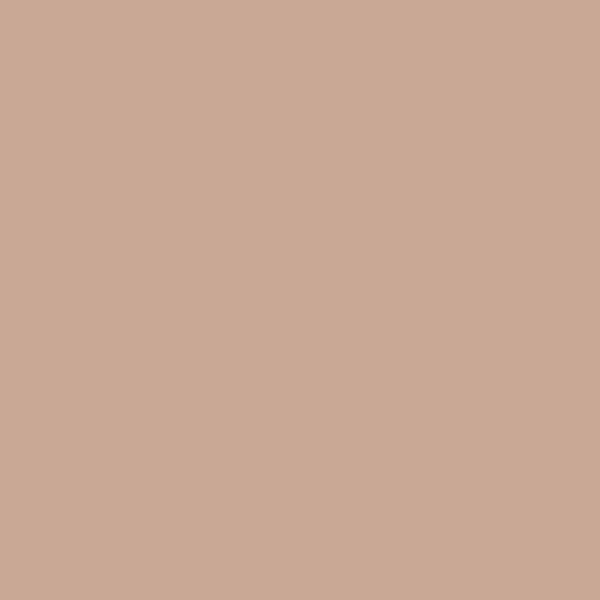 Apricot-N  (0501) ACE EXTERIOR EMULSION | Wall Painting | Asian Paints 1L
