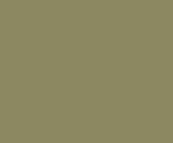 Green Gold (0342) ACE EXTERIOR EMULSION | Wall Painting | Asian Paints 1L