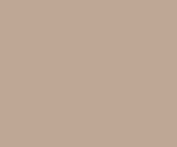 Light Coffee (0470) ACE EXTERIOR EMULSION | Wall Painting | Asian Paints 1L