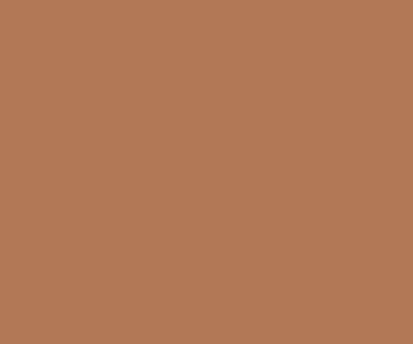 Copper Leaf (0523) ACE EXTERIOR EMULSION | Wall Painting | Asian Paints 1L