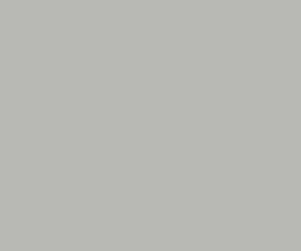 Silver Grey (0615) ACE EXTERIOR EMULSION | Wall Painting | Asian Paints 1L