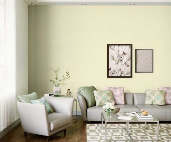 Autumn Gold (0254) ACE EXTERIOR EMULSION | Wall Painting | Asian Paints 1L