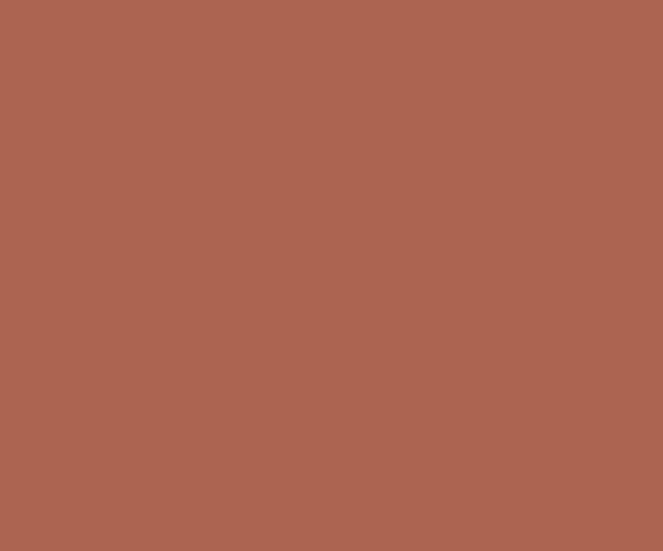 Copper (0587) ACE EXTERIOR EMULSION | Wall Painting | Asian Paints 1L