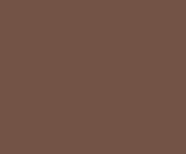 Terracotta-N (0427)  ACE EXTERIOR EMULSION | Wall Painting | Asian Paints 1L