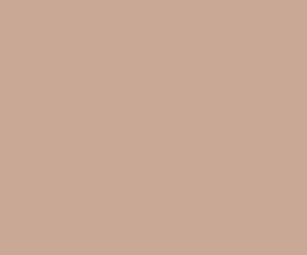 Apricot-N 0501 ACE EXTERIOR EMULSION | Wall Painting | Asian Paints 1L